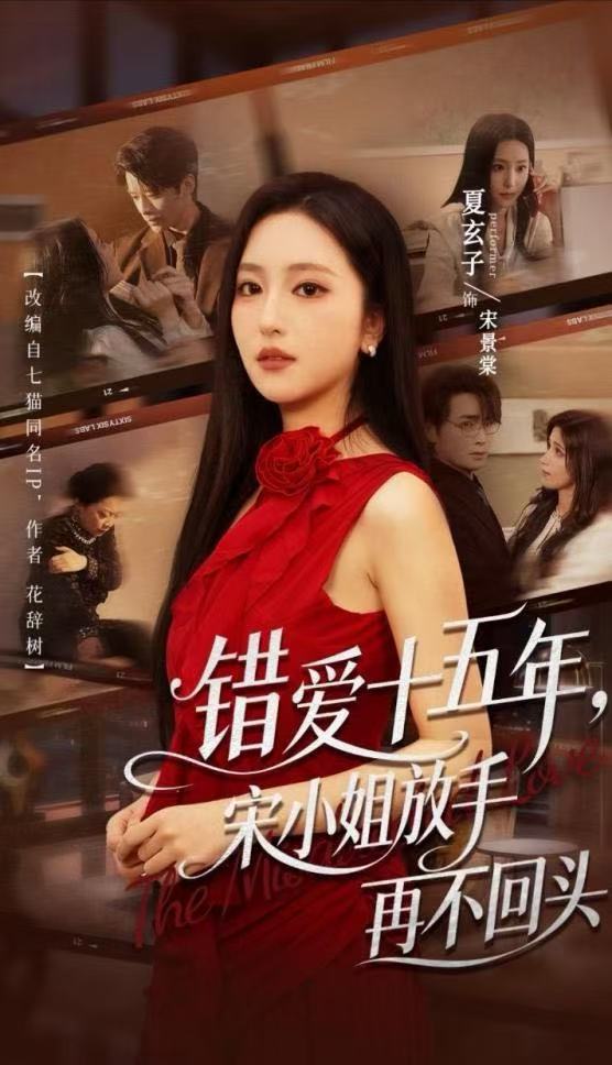 错爱十五年,宋小姐放手再不回头