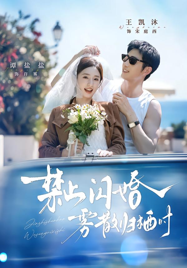 禁止闪婚,雾散归栖时