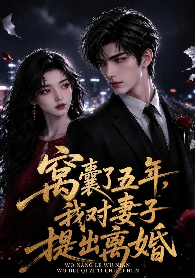 窝囊了五年,我对妻子提出离婚