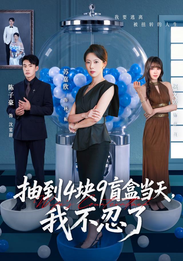 抽到4块9盲盒当天,我不忍了