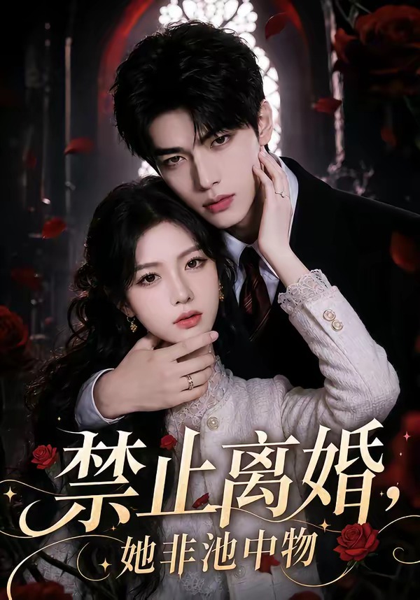 禁止离婚,她非池中物