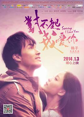 对不起,我爱你2014