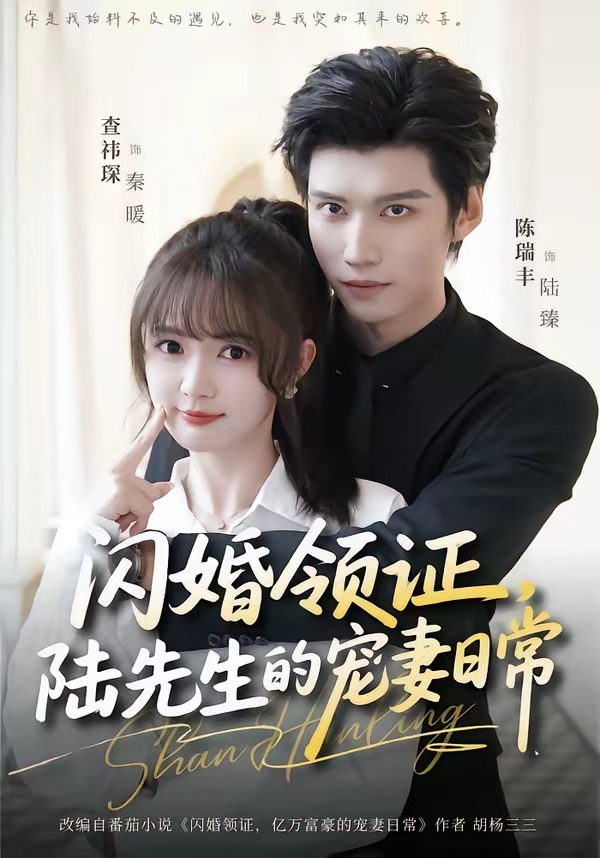 闪婚领证,陆先生的宠妻日常