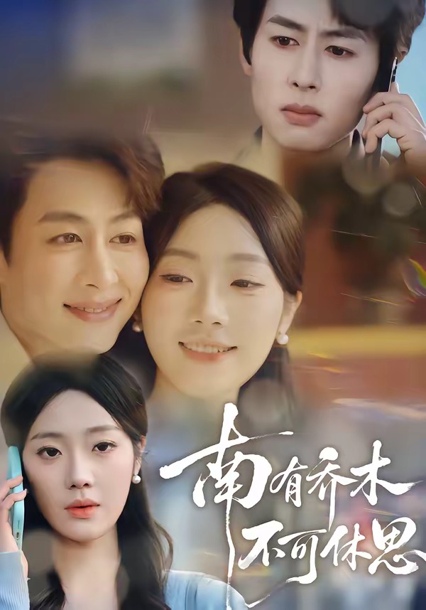南有乔木,不可休思