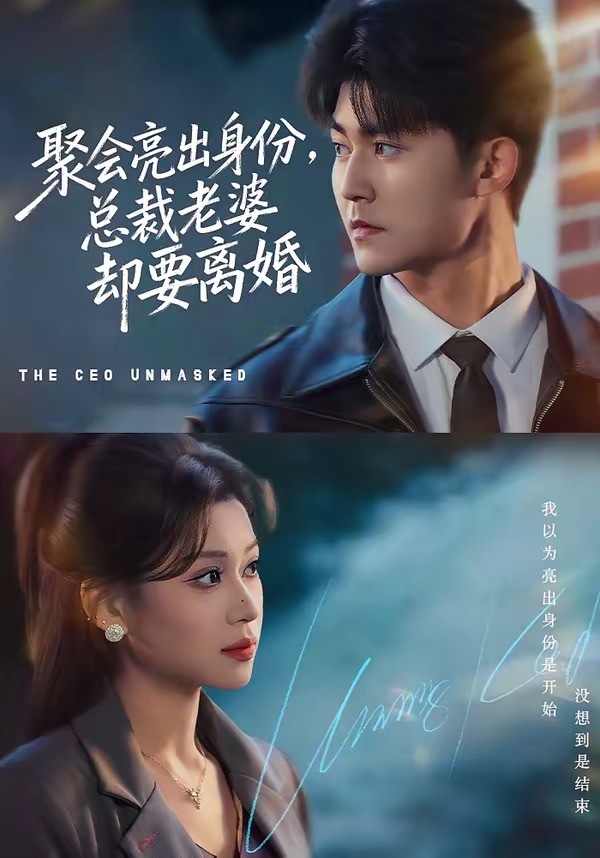 聚会亮出身份,总裁老婆却要离婚