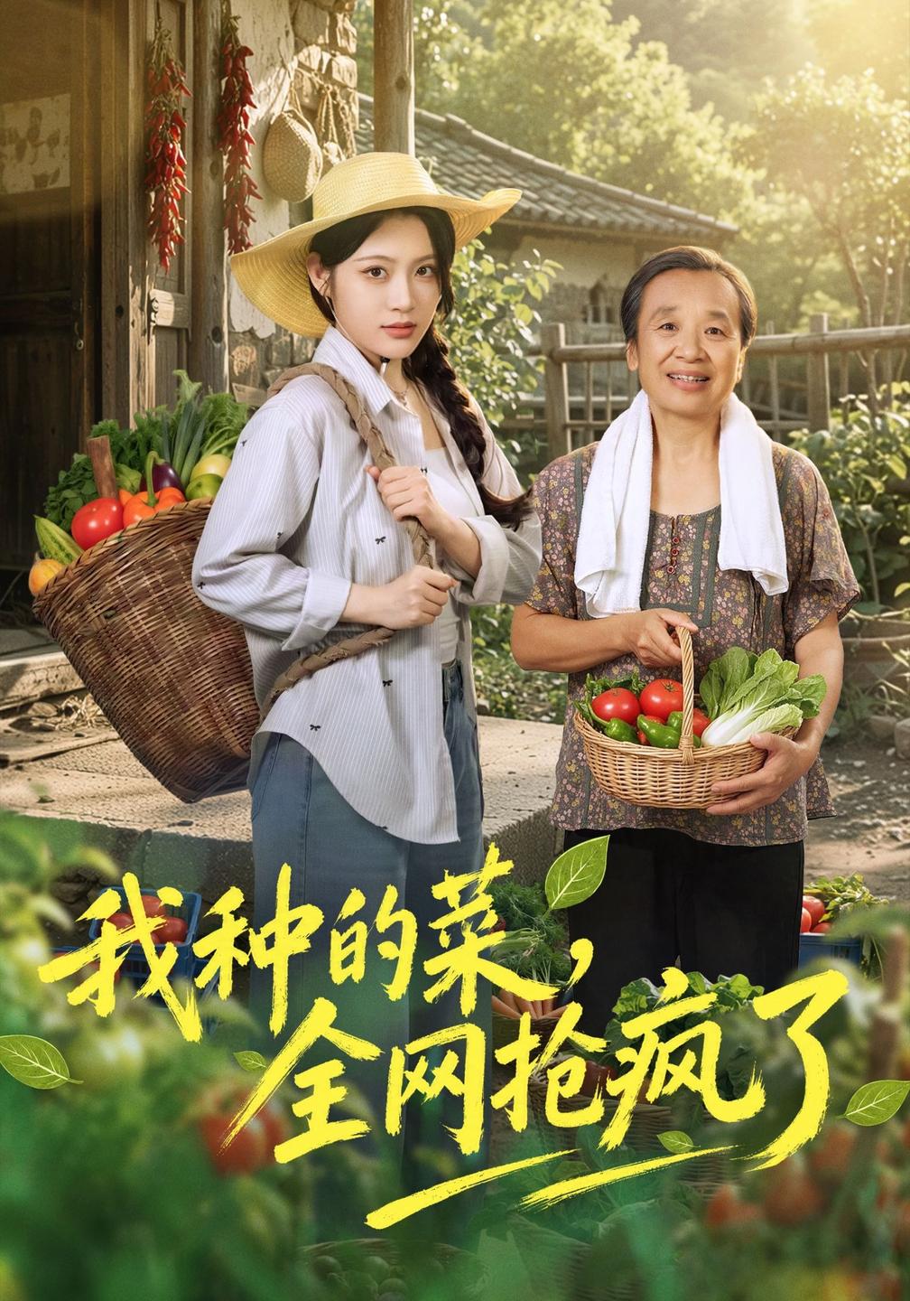 我种的菜,全网抢疯了